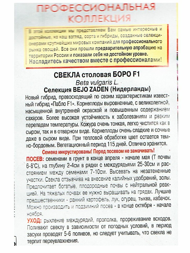 Свекла Боро [Семена редких растений] купить с доставкой