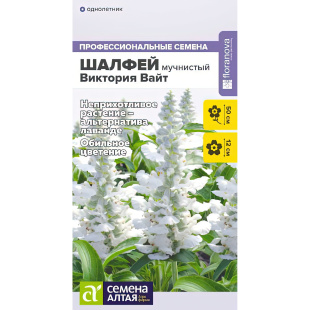 Шалфей Виктория Вайт мучнистый [Семена алтая]