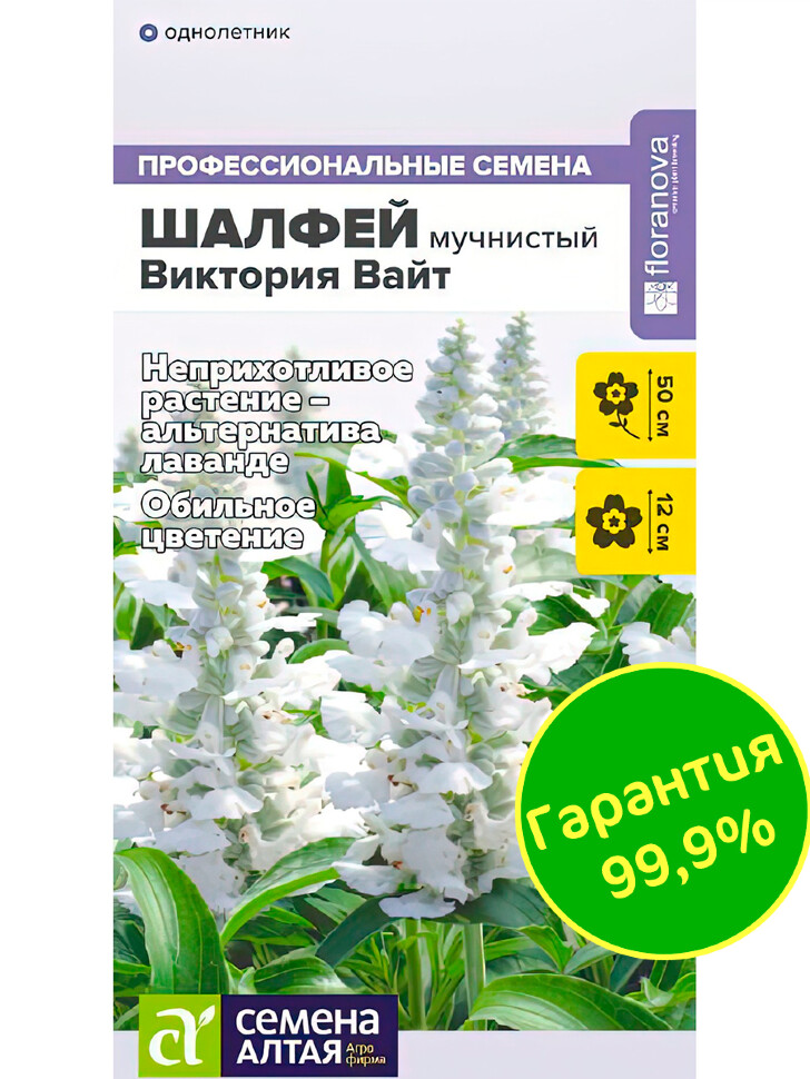 Шалфей Виктория Вайт мучнистый [Семена алтая] купить с доставкой