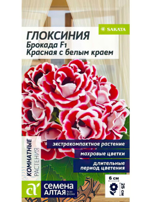Глоксиния Брокада Красная с белым краем [Семена алтая]