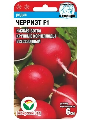 Редис Черриэт [Сибирский сад]