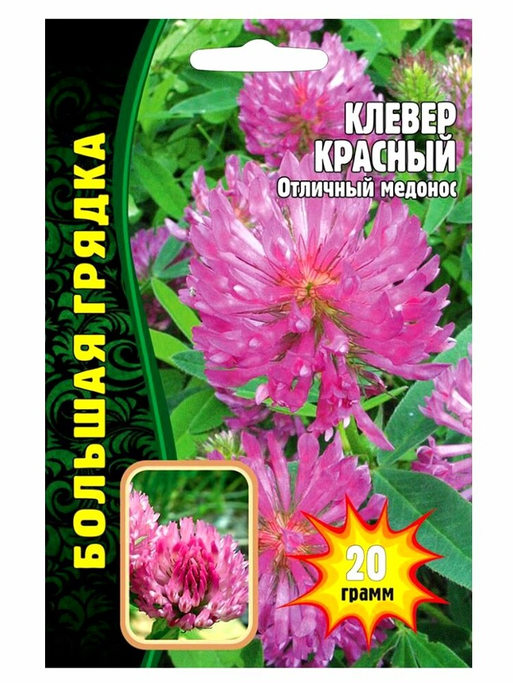 Клевер Красный Большая грядка 20гр (Ред.Сем) купить с доставкой Клевер Красный Большая грядка 20гр (Ред.Сем) купить с доставкой