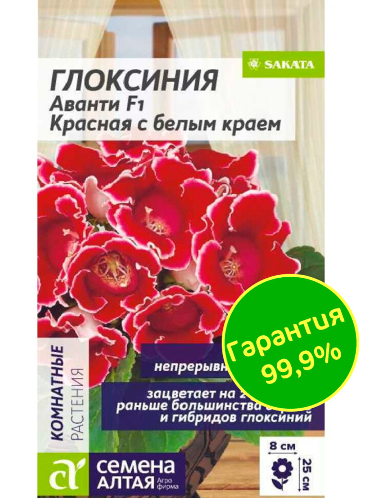 Глоксиния Аванти Красная с белым краем [Семена алтая] купить с доставкой