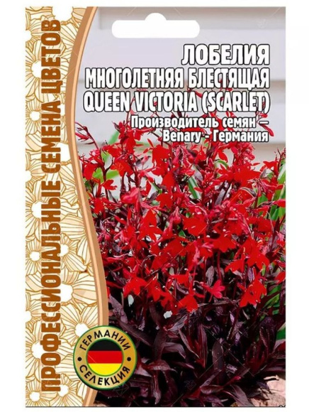 Лобелия Queen Victoria SCARLET многолетник [Семена редких растений] купить с доставкой
