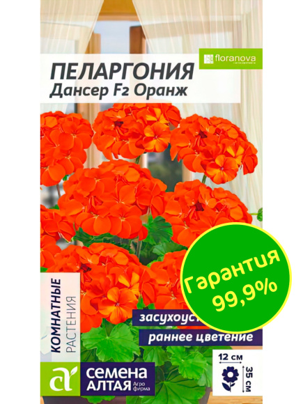 Пеларгония Дансер F2 Оранж [Семена алтая] купить с доставкой