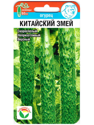 Огурец Китайский змей [Сибирский сад]