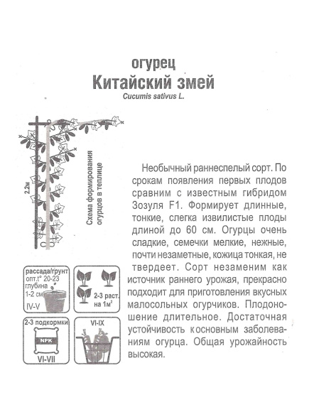 Огурец Китайский змей [Сибирский сад] купить с доставкой