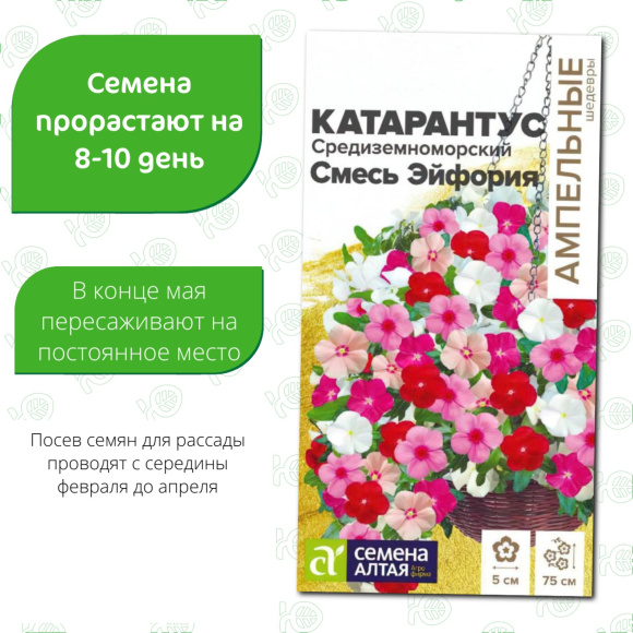 Катарантус Средиземноморский Смесь Эйфория [Семена алтая] купить с доставкой