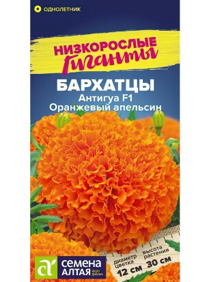 Бархатцы Антигуа Оранжевый апельсин [Семена алтая]