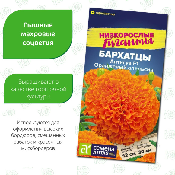 Бархатцы Антигуа Оранжевый апельсин [Семена алтая] купить с доставкой