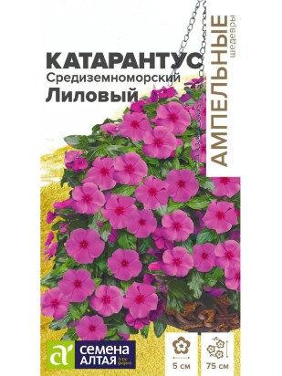 Катарантус Средиземноморский Лиловый [Семена алтая]