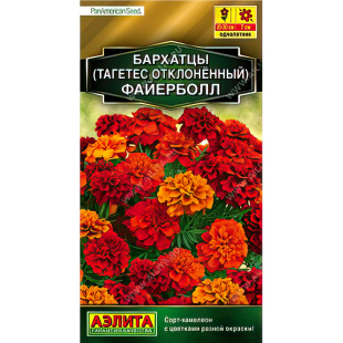 Бархатцы Файерболл отклоненные [Аэлита]