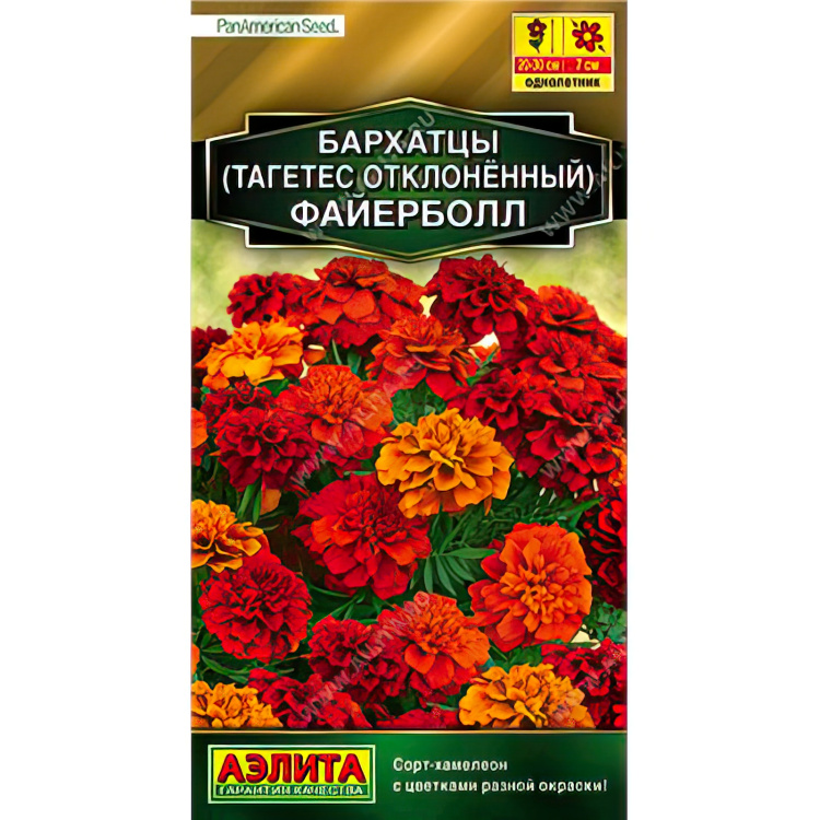 Бархатцы Файерболл отклоненные (Аэлита) можно купить недорого с доставкой в питомнике Любвитский