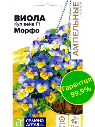 Виола Кул Вейв Морфо [Семена алтая]