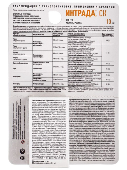 Интрада [Август] купить с доставкой