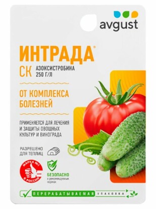 Интрада [Август]