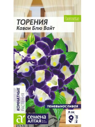 Торения Каваи Блю Вайт [Семена алтая]