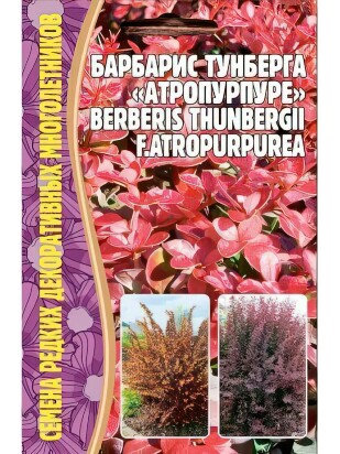 Барбарис Тунберга Атропурпурея [Семена редких растений]