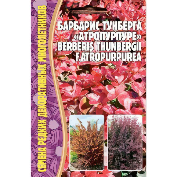 Барбарис Тунберга Атропурпуре [Семена редких растений] с доставкой