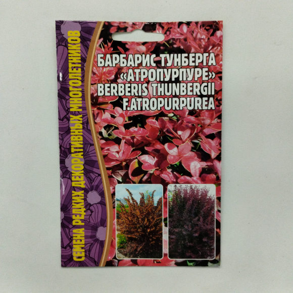 Барбарис Тунберга Атропурпурея [Семена редких растений] купить с доставкой