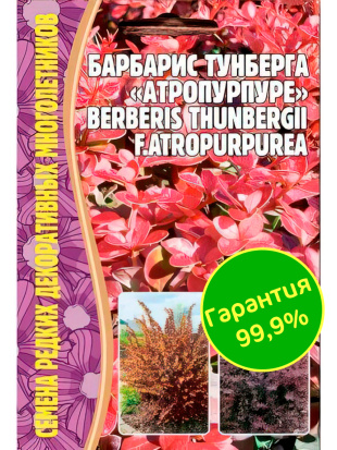 Барбарис Тунберга Атропурпурея [Семена редких растений]
