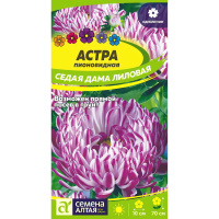 Астра Седая Дама Лиловая (Семена алтая)