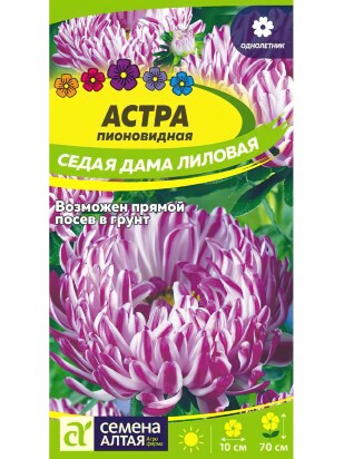 Астра Седая Дама Лиловая [Семена алтая]