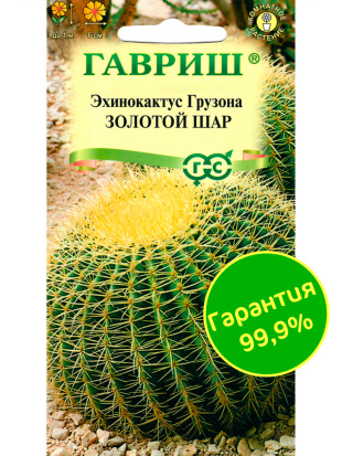 Кактус Эхинокактус Грузона Золотой шар [Гавриш]