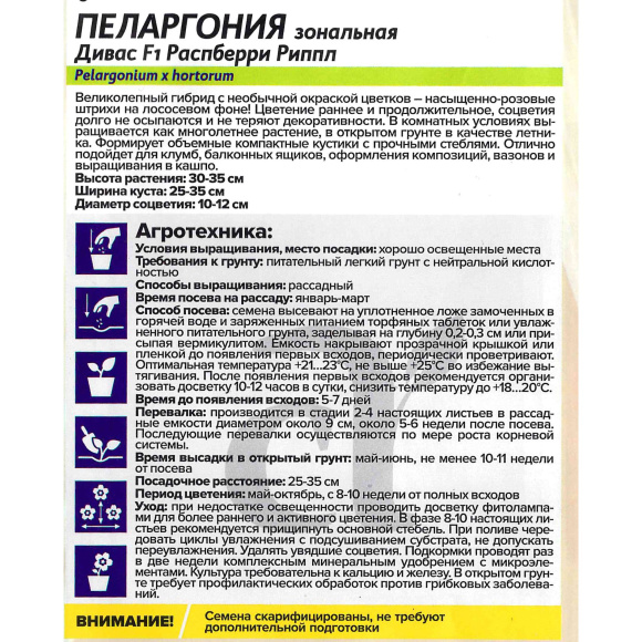 Пеларгония Дивас Распберри Риппл [Семена алтая] купить с доставкой