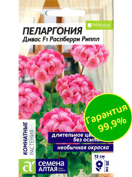Пеларгония Дивас Распберри Риппл [Семена алтая] купить с доставкой
