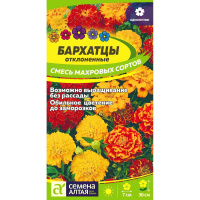 Бархатцы Отклоненные Смесь махровых сортов (Семена алтая)
