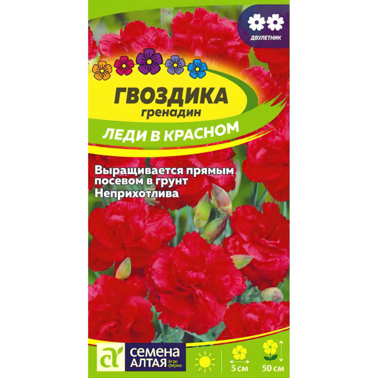 Гвоздика гренадин Леди в красном [Семена алтая] купить в интернет ...