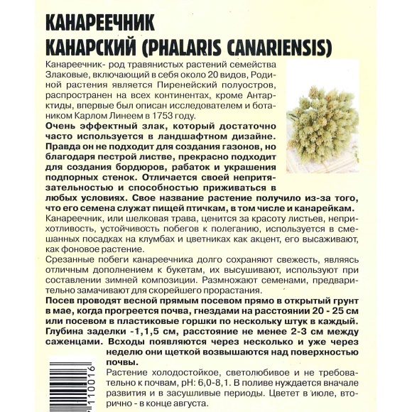 Жасмин Кустарниковый [Семена редких растений] купить с доставкой
