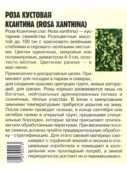 Роза кустовая Ксантина [Семена редких растений] купить с доставкой