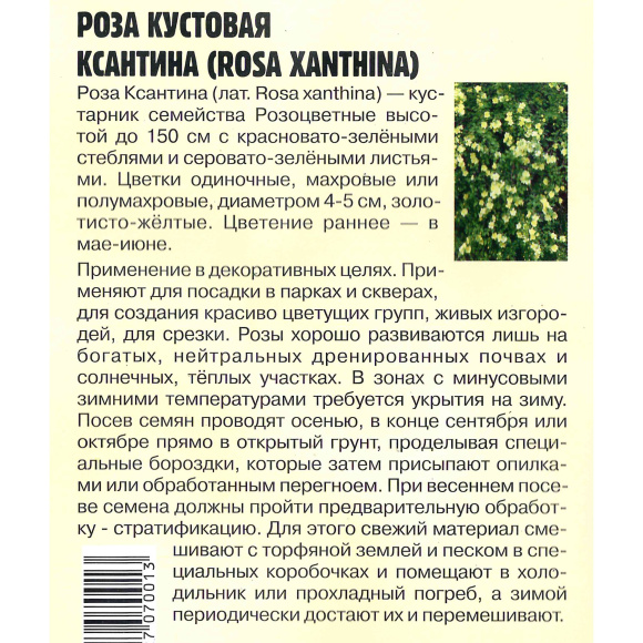 Роза кустовая Ксантина [Семена редких растений] купить с доставкой