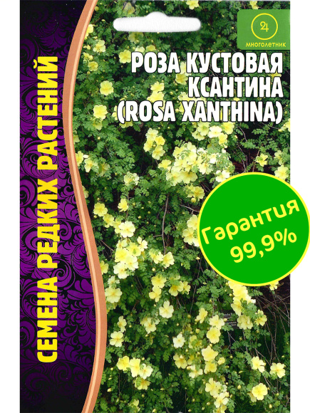 Роза кустовая Ксантина [Семена редких растений] купить с доставкой