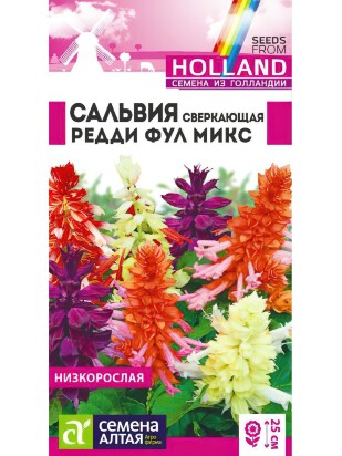 Сальвия Редди Фулл микс сверкающая [Семена алтая]