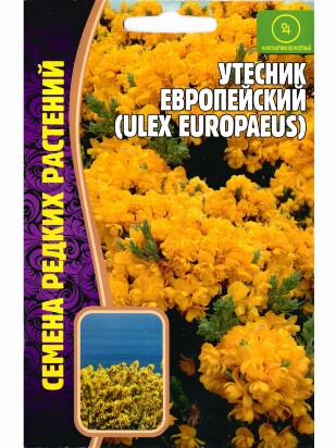 Утесник Европейский [Семена редких растений]