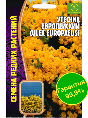 Утесник Европейский [Семена редких растений]