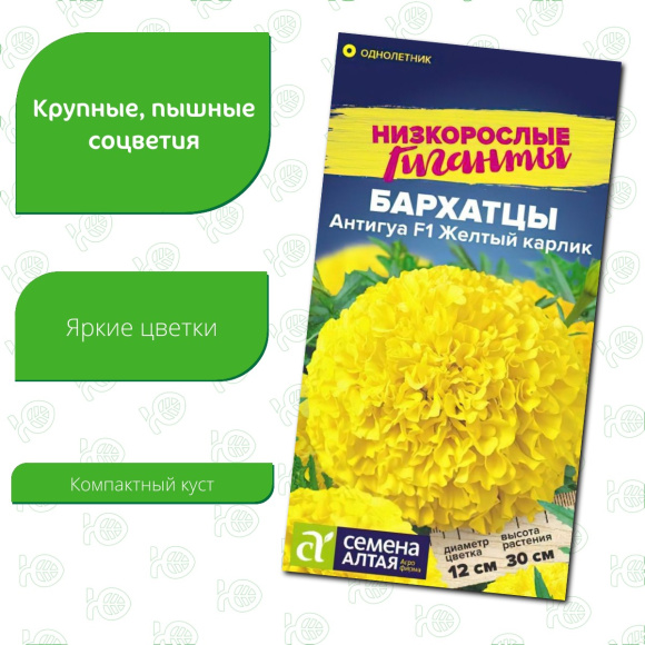 Бархатцы Антигуа Желтый карлик [Семена алтая] купить с доставкой