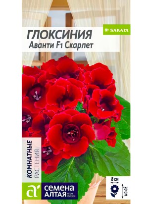 Глоксиния Аванти Скарлет [Семена алтая]