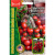 Томат черри Черфилд [Семена редких растений] купить с доставкой