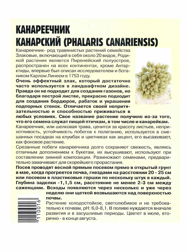 Канареечник Канарский [Семена редких растений] купить с доставкой