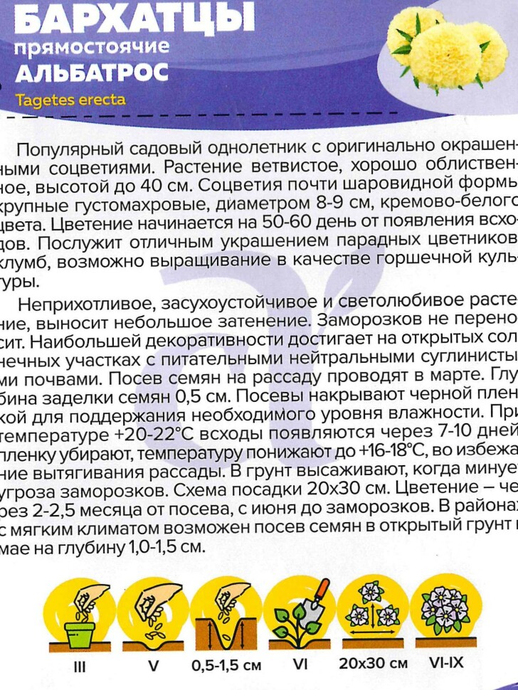Бархатцы Альбатрос [Семена алтая] купить с доставкой