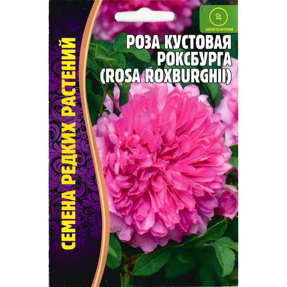 Роза кустовая Роксбурга (Семена редких растений) купить в интернет-магазине  Любвитского питомника с доставкой почтой или транспортной по России