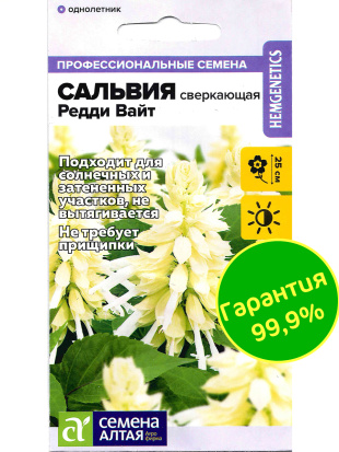 Сальвия Редди Вайт сверкающая [Семена Алтая]