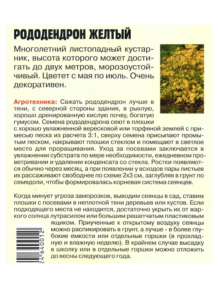 Рододендрон Желтый [Семена редких растений] купить с доставкой
