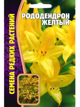 Рододендрон Желтый [Семена редких растений]