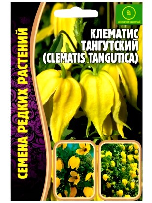 Клематис Тангутский [Семена редких растений]