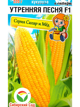 Кукуруза Утренняя песня [Сибирский сад]